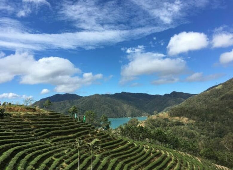 國內外旅遊、機票、交通、住宿幫您辦到好!