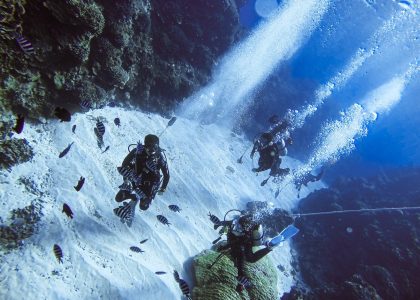 國內外旅遊、機票、訂房，跟著翔翼旅遊，翼起遨遊！
