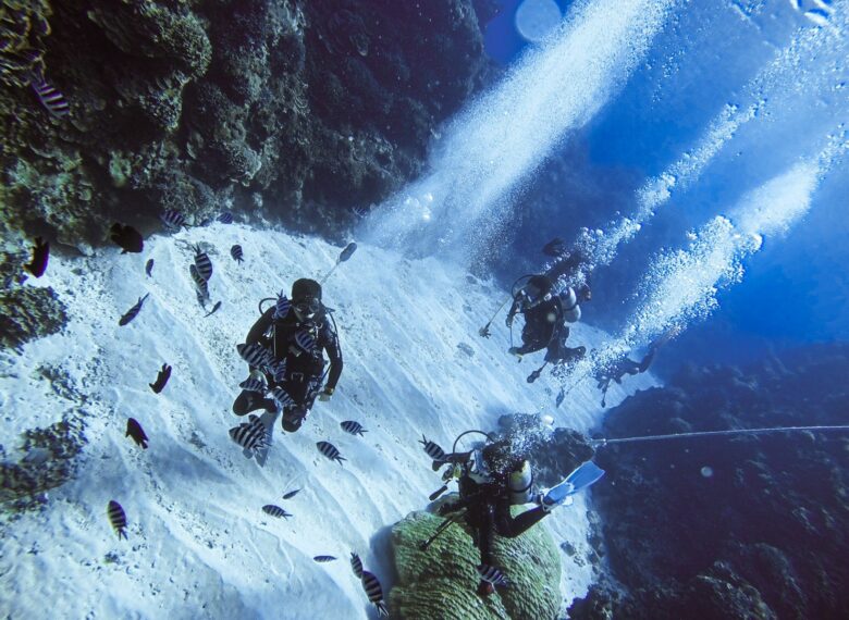 國內外旅遊、機票、交通、住宿幫您辦到好!