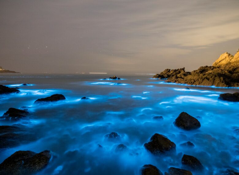 國內外旅遊、機票、交通、住宿幫您辦到好!