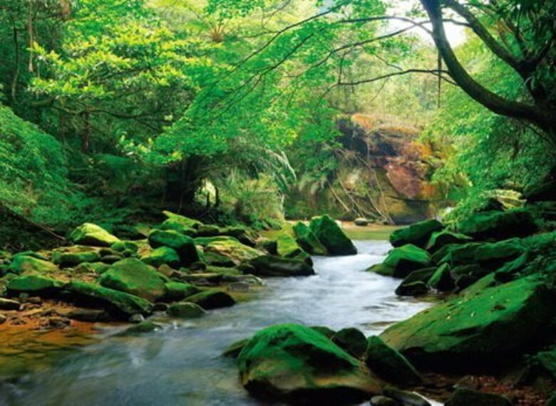 國內外旅遊、機票、交通、住宿幫您辦到好!