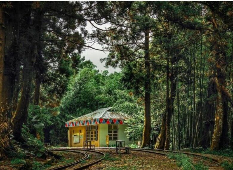 國內外旅遊、機票、交通、住宿幫您辦到好!