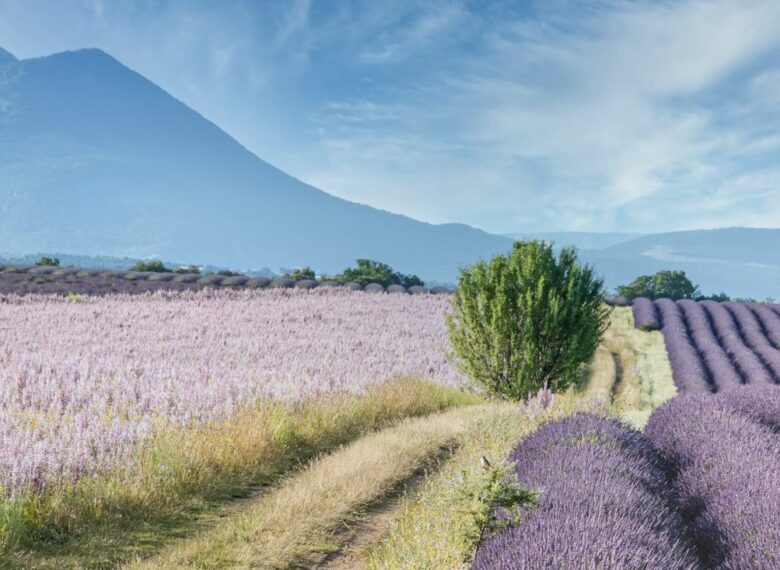 國內外旅遊、機票、交通、住宿幫您辦到好!