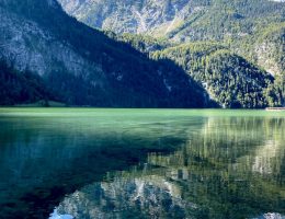 國內外旅遊、機票、交通、住宿幫您辦到好!