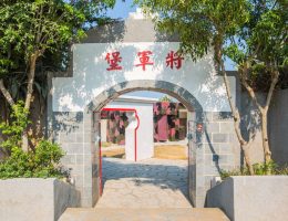 The General's Fortress (1)