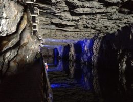 國內外旅遊、機票、訂房，跟著翔翼旅遊，翼起遨遊！