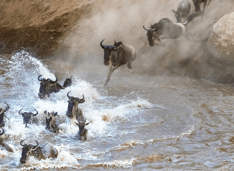 國內外旅遊、機票、訂房，跟著翔翼旅遊，翼起遨遊！