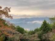國內外旅遊、機票、交通、住宿幫您辦到好!