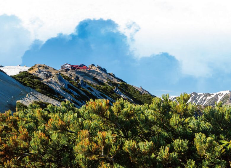 國內外旅遊、機票、交通、住宿幫您辦到好!